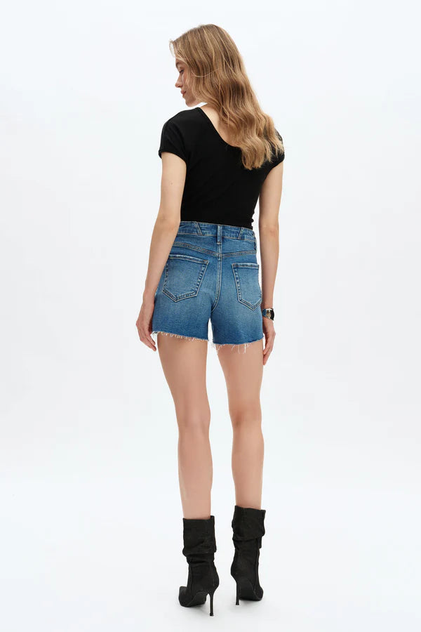 Double Take High Rise Shorts